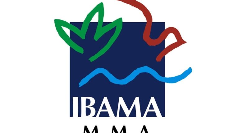 Saiba como é a redação no Concurso do IBAMA