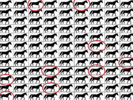 Quantos cavalos têm apenas três pernas