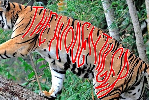 Identifique o tigre escondido dentro da imagem