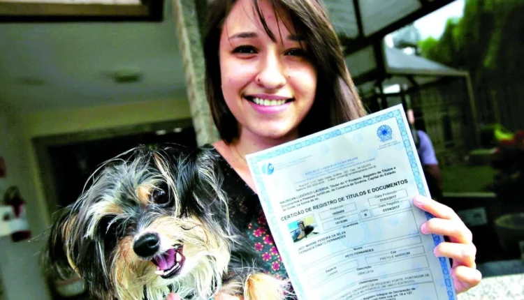 Cartórios brasileiros estão fazendo Certidão de Nascimento para Pets