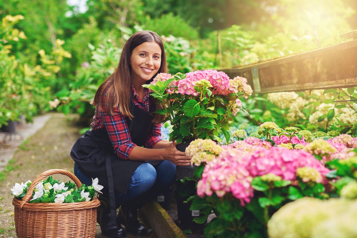 Afaste o mau olhado e a inveja com estas plantas poderosas - Reprodução Canva