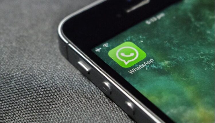 Confira informações importantes sobre contatos do WhatsApp