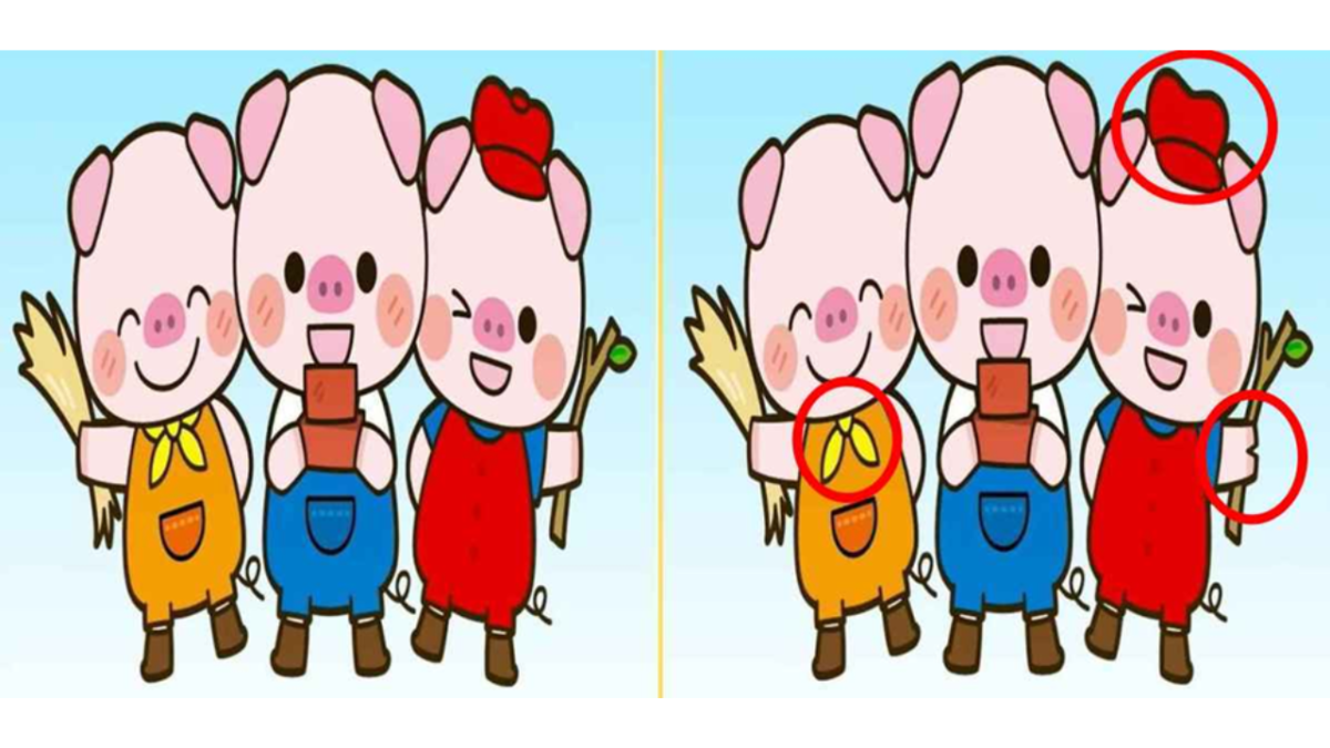 encontre as diferenças entre os porcos