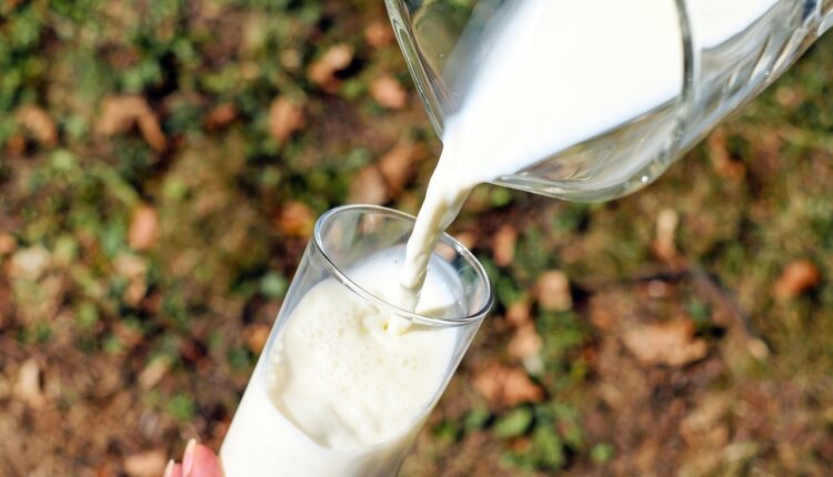 Preço do leite DESPENCA mais de 30% em 2023; Descubra os motivos