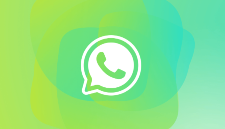Fim do papo chato! Aprenda a excluir contatos indesejados no WhatsApp