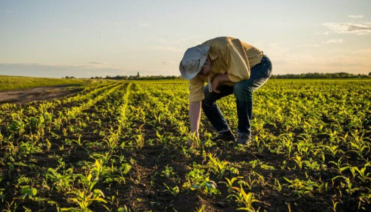 Aposentadoria Rural é a nova preocupação da economia brasileira? Entenda