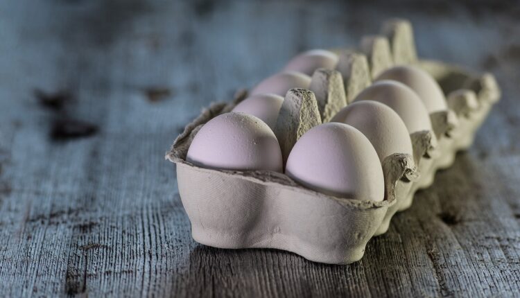 Novos preços dos ovos SURPREENDEM brasileiros em 2024; veja quanto