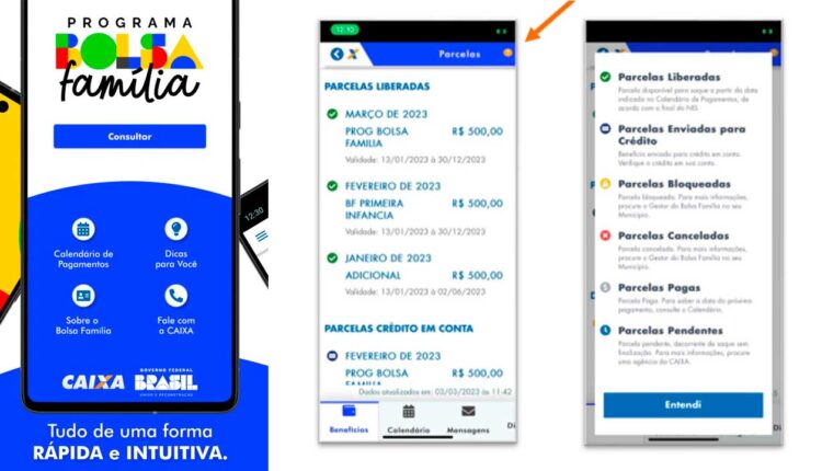 Bolsa Família: Governo atualiza informações de março no app. Veja como consultar