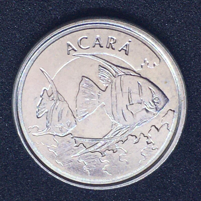 Encontrou a moeda antiga que homenageia o Acará? Veja quanto vale em 2024