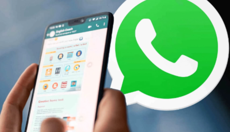Novidade no WhatsApp: tela para gerenciar contatos favoritos; saiba como usar