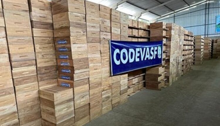 CODEVASF: inscrições reabertas com salários de R$ 10 MIL; veja nova data de prova