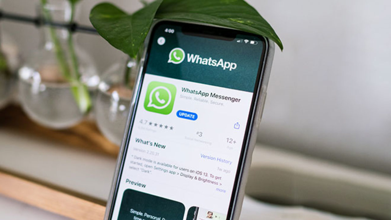 WhatsApp anuncia recurso de favoritar seus contatos. Veja como