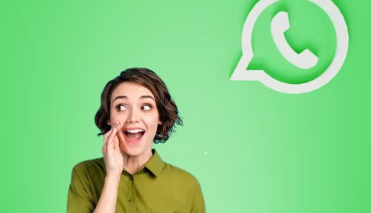 Efeitos e filtros nas chamadas de vídeo do WhatsApp? Usuários se SURPREENDEM