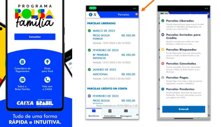 Bolsa Família: por que seu app ainda não foi atualizado? entenda motivos