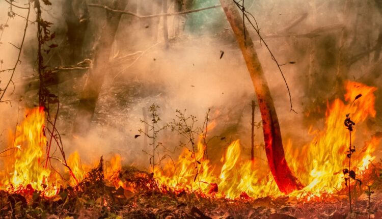 ALERTA: Inmet atualiza lista de capitais que devem registrar alto calor nesta quarta-feira (11/09)