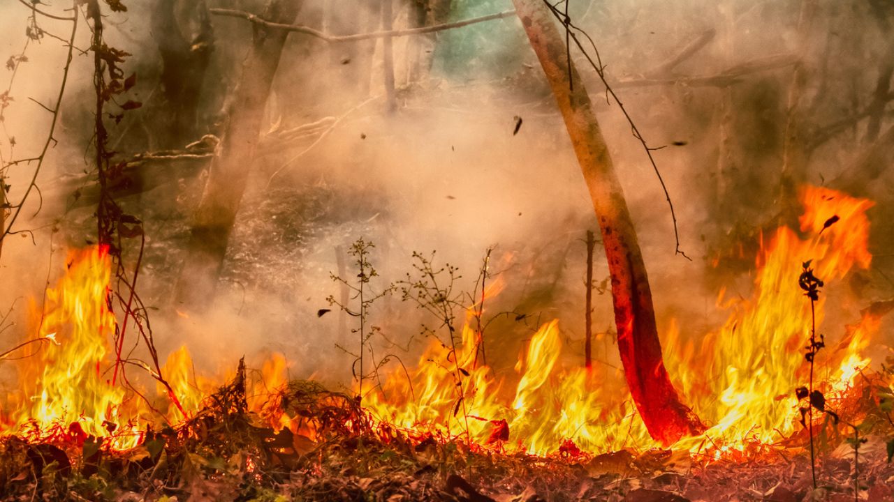 ALERTA: Inmet atualiza lista de capitais que devem registrar alto calor nesta quarta-feira (11/09)