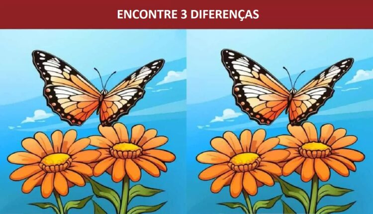 Desafio Visual: encontre 3 diferenças entre as imagens das borboletas em 15 segundos!