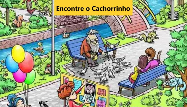 Teste de QI: será que você consegue localizar o cachorrinho no parque em 10 segundos?