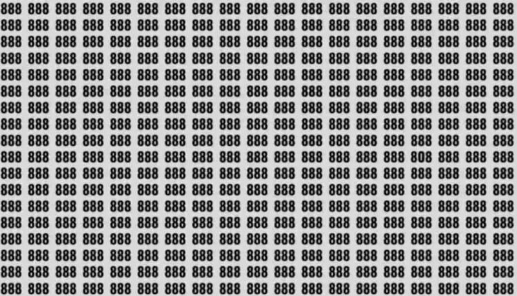 Teste de QI: será que você consegue encontrar o número "808" escondido entre 888 em 5 segundos?