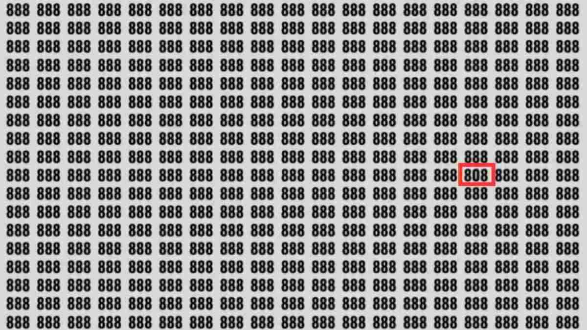 Teste de QI: será que você consegue encontrar o número "808" escondido entre 888 em 5 segundos?