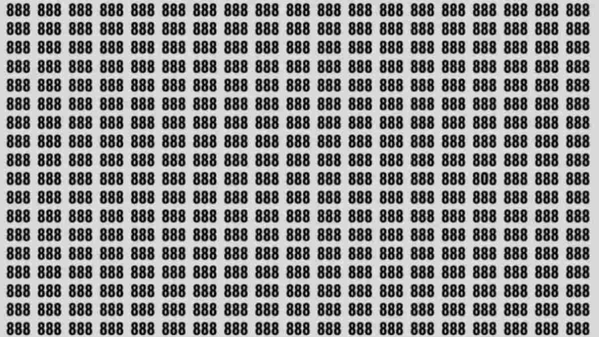 Teste de QI: será que você consegue encontrar o número "808" escondido entre 888 em 5 segundos?