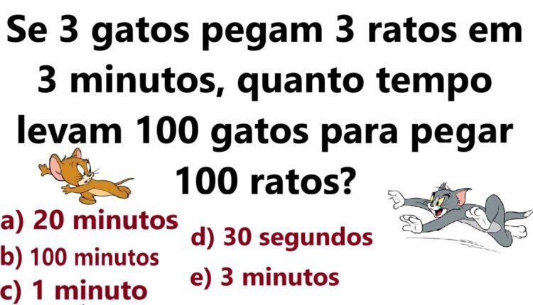 Teste de QI: quanto tempo levam 100 gatos para pegar 100 ratos?