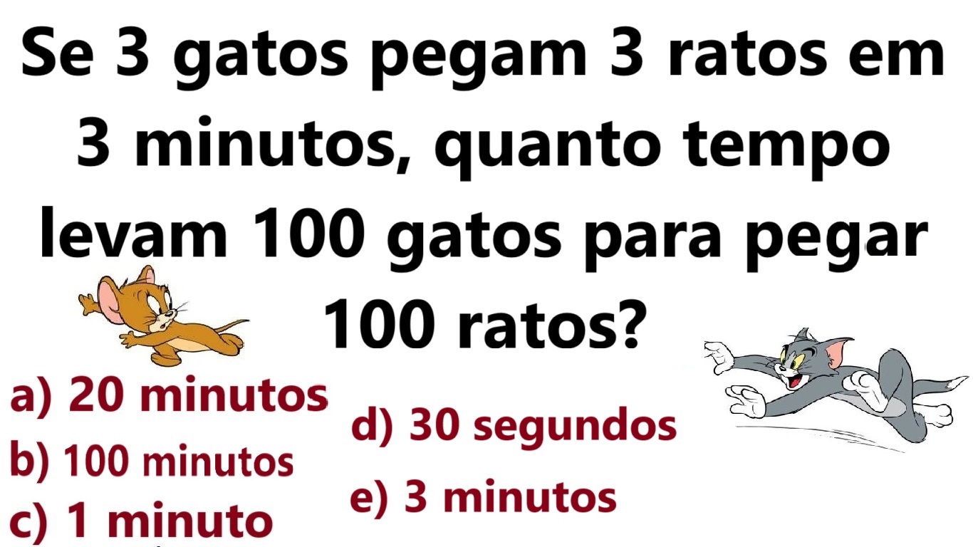 Teste de QI: quanto tempo levam 100 gatos para pegar 100 ratos?