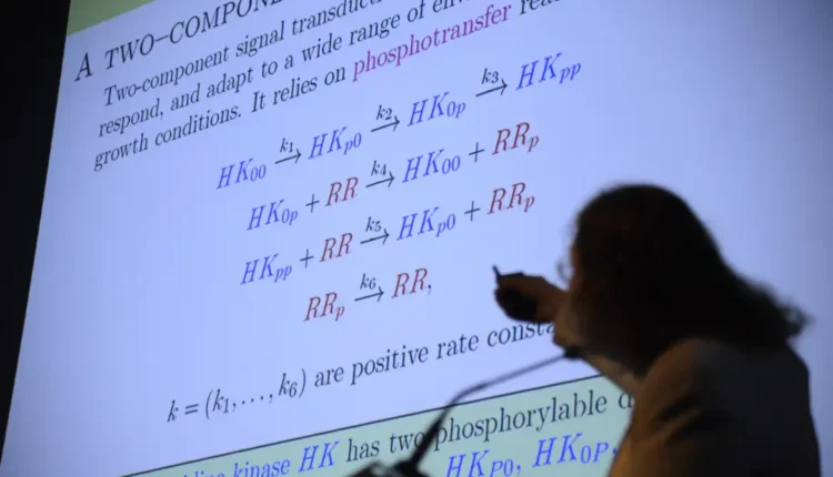 Cada um desses problemas, tem sua complexidade única. Imagem: Agência Brasil.