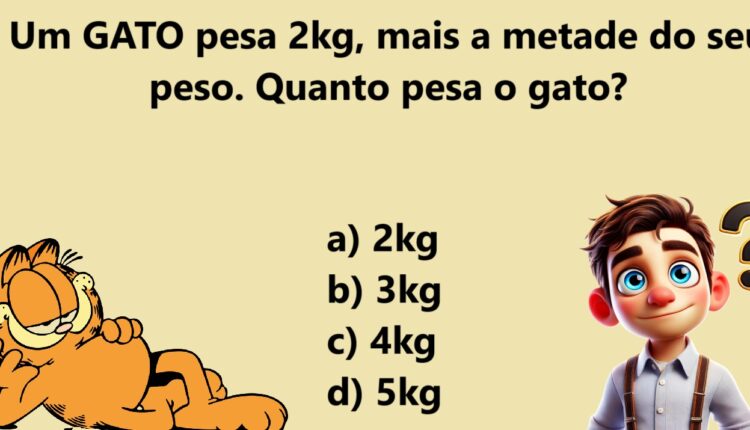 Raciocínio Lógico: será que você consegue descobrir o peso do gato?