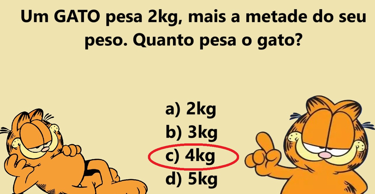 Raciocínio Lógico: será que você consegue descobrir o peso do gato?