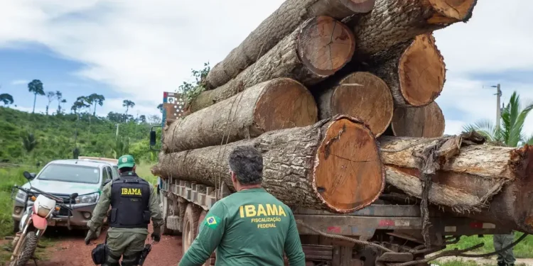 Agentes do Ibama fiscalizando o transporte de madeira, em contexto com o cargo de analista administrativo no concurso Ibama.