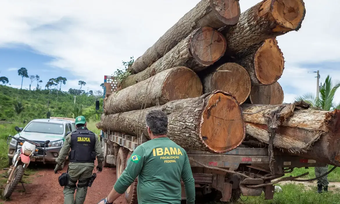 Agentes do Ibama fiscalizando o transporte de madeira, em contexto com o cargo de analista administrativo no concurso Ibama.