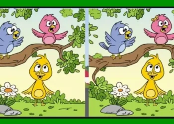 Desafio de raciocínio lógico com ilustração de três passarinhos e um pato amarelo em cenário verde.