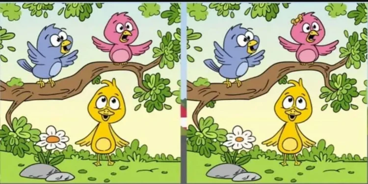 Desafio de raciocínio lógico com ilustração de três passarinhos e um pato amarelo em cenário verde.