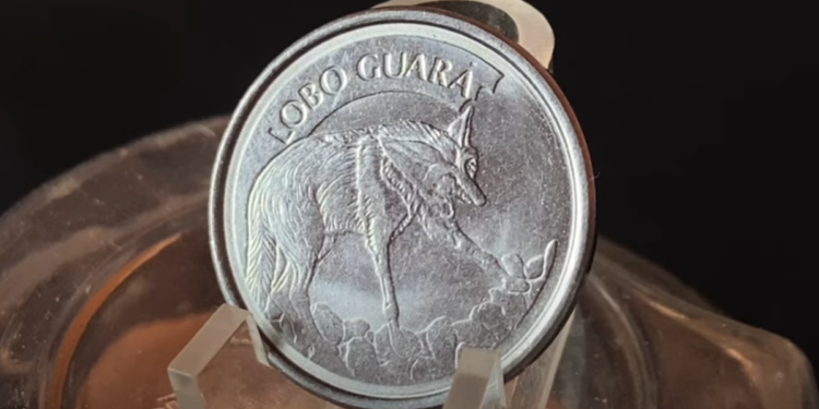 Moeda rara de 100 cruzeiros com lobo-guará em detalhe.
