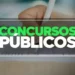 Pessoa preenchendo formulário de concurso público, com destaque para a palavra 'CONCURSOS PÚBLICOS'.