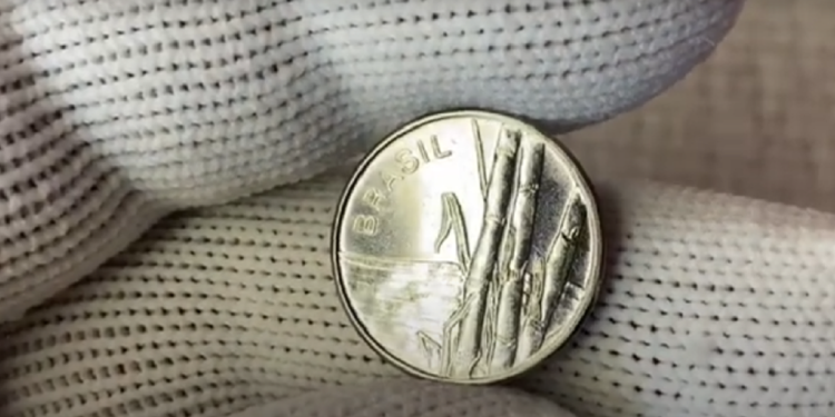 Moeda de 1 Cruzeiro de 1983, um item raro e valioso, com o design da cana-de-açúcar.