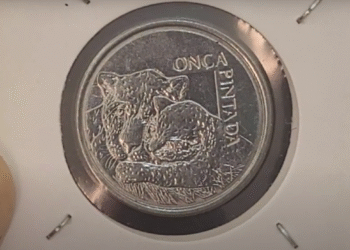 Moeda rara da onça pintada dos anos 1993 e 1994 em destaque