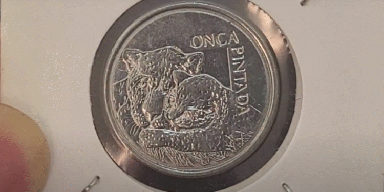 Moeda rara da onça pintada dos anos 1993 e 1994 em destaque