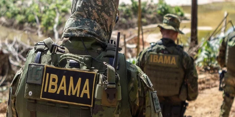 Concurso Ibama 2025: quando o gabarito vai ser divulgado? veja cronograma completo