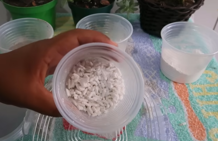 Mistura de arroz com gesso Potes com arroz picado e gesso sobre uma toalha colorida, prontos para mistura caseira