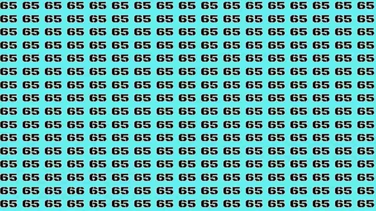 Consegue achar o número 66 escondido entre os vários 65? Teste sua visão! Desafio visual com números semelhantes onde é necessário encontrar o número 66 entre vários 65