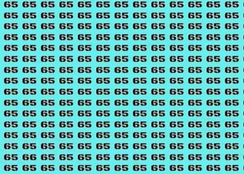 Desafio visual com números semelhantes onde é necessário encontrar o número 66 entre vários 65