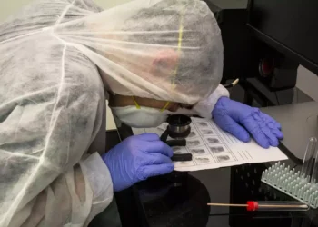 Perito criminal examinando impressões digitais com lente.