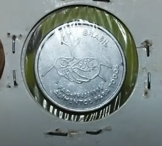 Moeda de 10 Centavos FAO 1995 em Suporte de Proteção moeda 10 centavos 1995 fao rara em suporte de proteção