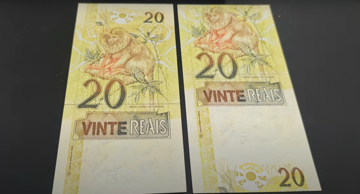 Cédulas de 20 reais com erro raro podem valer até 600 reais — Veja como identificar Duas cédulas de 20 reais com erro de impressão lado a lado