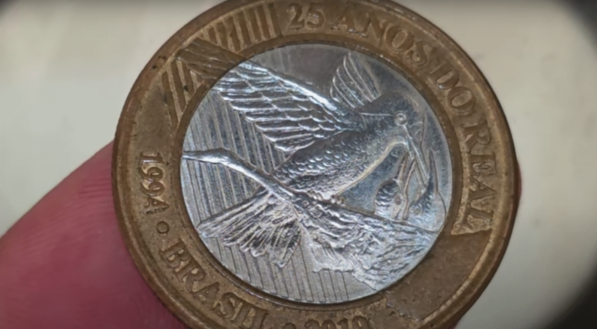 Moeda de 1 real do Beija-flor que pode ter valor para colecionadores Moeda comemorativa de 1 real do Beija-flor com detalhes de asas e filhotes, com desgaste natural