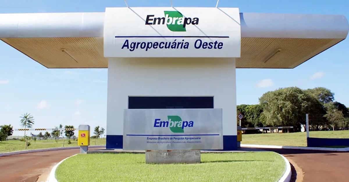 Concurso Embrapa: o que esperar da prova prática e quando começam as convocações? Concurso Embrapa: o que esperar da prova prática e quando começam as convocações?