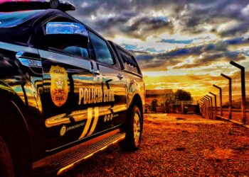 Novo concurso da PC DF pode surpreender com 150 vagas para o IML; veja detalhes da banca