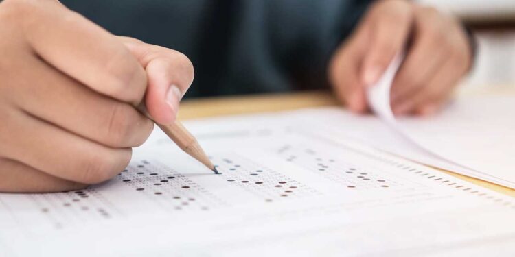 Itabuna abre 175 vagas temporárias: tem vaga pra você? Confira lista completa